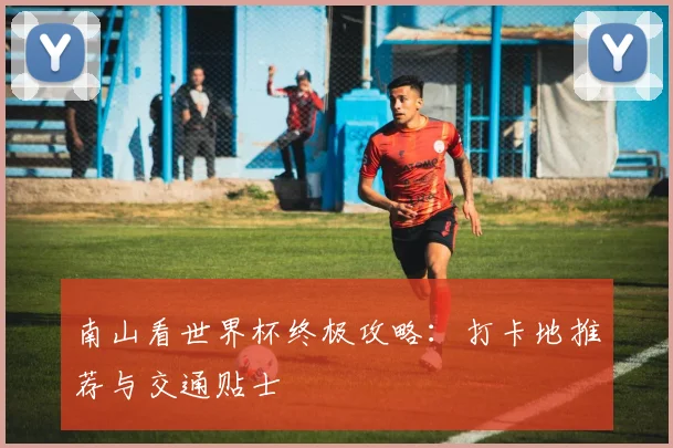 南山看世界杯终极攻略：打卡地推荐与交通贴士